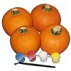 Pumpkin Patch Pals Pumpkin Paint Activity Kit - 4ct - 2 of 2