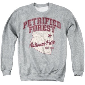 Men's Petrified Forest National Park State Line Crewneck Sweatshirt - 1 of 4