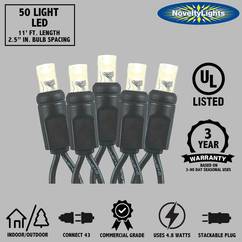 Novelty Lights 50 Light LED Christmas Mini Light Set (Black Wire, 11 Feet), 5 of 8