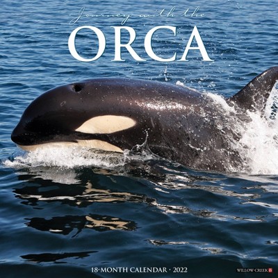 2022 Wall Calendar Journey with the Orca - Willow Creek Press