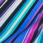multi prism