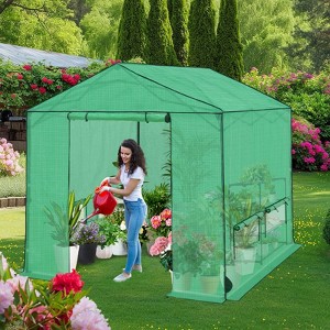 EAGLE PEAK 6x6 FT Portable Walk-in Greenhouse, Pop up Outdoor Green House with Power Access Openings - 1 of 4