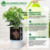 14.2"Tall Planters Set of 2, Plant Pots, Self Watering Pots for Indoor Plants, Flower Pots with Built-in Drainage and a Water Level Monitor, for Patio - 3 of 4