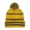 Harry Potter Adult Hogwarts Collegiate Winter Knit Hat with Cuff and Pom - 2 of 3