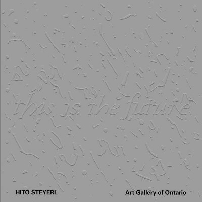 Hito Steyerl - by  Adelina Vlas (Paperback)