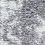 dark grey/ivory