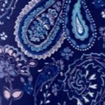 evening blue paisley