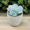 Unique Bargains Artificial Plants Mini Frost Lotus in Pulp Plastic 2.76"x2.76"x2.95" 1Pcs - 2 of 4