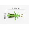 Collectible Wildlife Gifts | Grasshopper, Rubber Insect, Hand Painted, Realistic Toy Figure, Model,   Educational, Gift,      3 1/2"     CH272 BB124 - 3 of 4