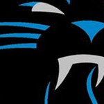 carolina panthers