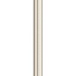 nickel