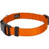 Country Brook Petz Deluxe Nylon Dog Collar and Leash - 4 of 4