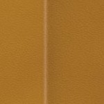 tampa bay buccaneers