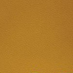 tampa bay buccaneers