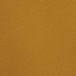 tampa bay buccaneers