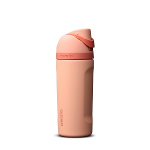 Owala 16 fl oz Stainless Steel FreeSip Water Bottle - Peach of