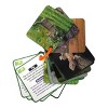 Smart Play Animal Planet 3D Creatures Flash Cards Set - image 4 of 4