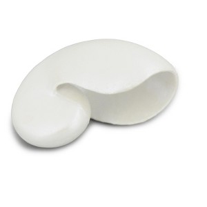 Collectible Wildlife Gifts | Nautilus Shell, Pelagic Marine Mollusc, Ocean, Sea Life, Plastic Model,  Animal, Life Like, Gift,  2"   F4113 B96 - 1 of 4