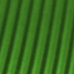 green mini