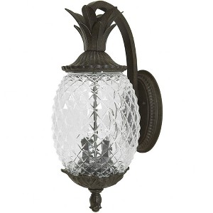 Acclaim Lighting Lanai 2 - Light Wall Light in  Black Coral - 1 of 4