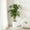 Dr.Planzen 5-6ft UV & Sunproof Artificial Dracaena Tree for Indoor/Outdoor - Faux Silk Plant in Tall Planter, Tall Faux Tree for Home & Garden Decor - 4 of 4