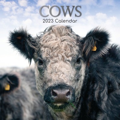 2023 Square Wall Calendar, Cows, 16-month Animals Theme With 180 Reminder  Stickers (12 X 12 In) : Target
