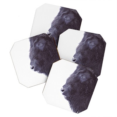 Monika Strigel Black Buffalo Set of 4 Coasters - Deny Designs