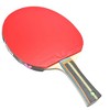 Butterfly Lin Yun-Ju Super ZLC FL & Tenergy 05 Hard & Dignics 05 - 4 of 4