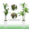 Artificial Tree in Pot with Realistic Leaves & Natural Wood Trunk 5FT/6FT/7FT/8FT - 4 of 4