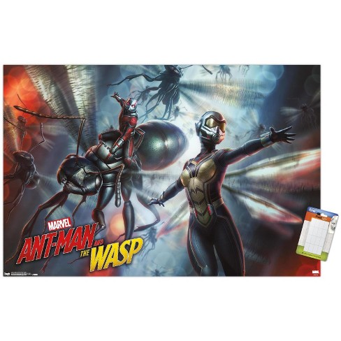 Marvel Ant-Man and the Wasp: Quantumania - Logo Wall Poster, 22.375 x 34,  Framed 