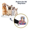 American Pet Supplies Slow Biker Squeaker Dog Chew Toy – Plush Dog Toy with Durable Texture, for Engaging Play and Cuddles - 4 of 4