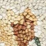 olive, sage, rosewood