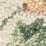 olive, sage, rosewood