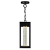 CWI Lighting Rochester LED Integrated Black Outdoor Ceiling Light - 3 of 4