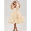 2Bunnies Girls' Organza Puff Sleeve Babydoll Fit & Flare Dress - 3 of 4
