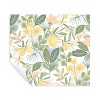 Rifle Paper Co. Amalfi Peel and Stick Wallpaper Soft White - image 2 of 4