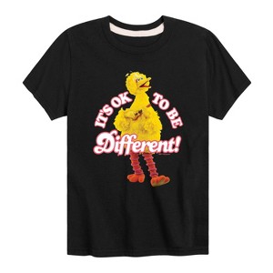 Boys' - Sesame Street - Its Ok To Be Different Short Sleeve Graphic T-Shirt - 1 of 4