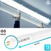 Luxrite 4FT T5 LED Tube Lights, Type A+B, 24W=54W, 5000K Bright White, Ballast and Bypass Compatible, Single or Double End Powered Damp Rated 4 Pack - 4 of 4