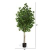 Nearly Natural 64-in Ficus Artificial Tree UV Resistant (Indoor/Outdoor) - 3 of 4