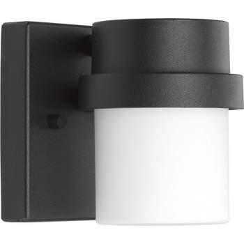 Progress Lighting Z-1060 1-Light Outdoor Wall Light, Black Finish, Glass Shade
