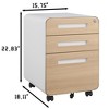 Vynxaria 3-Drawer Mobile File Cabinet - Black Utility Storage Cabinets with Lock and Anti-Tilt Wheels - 4 of 4