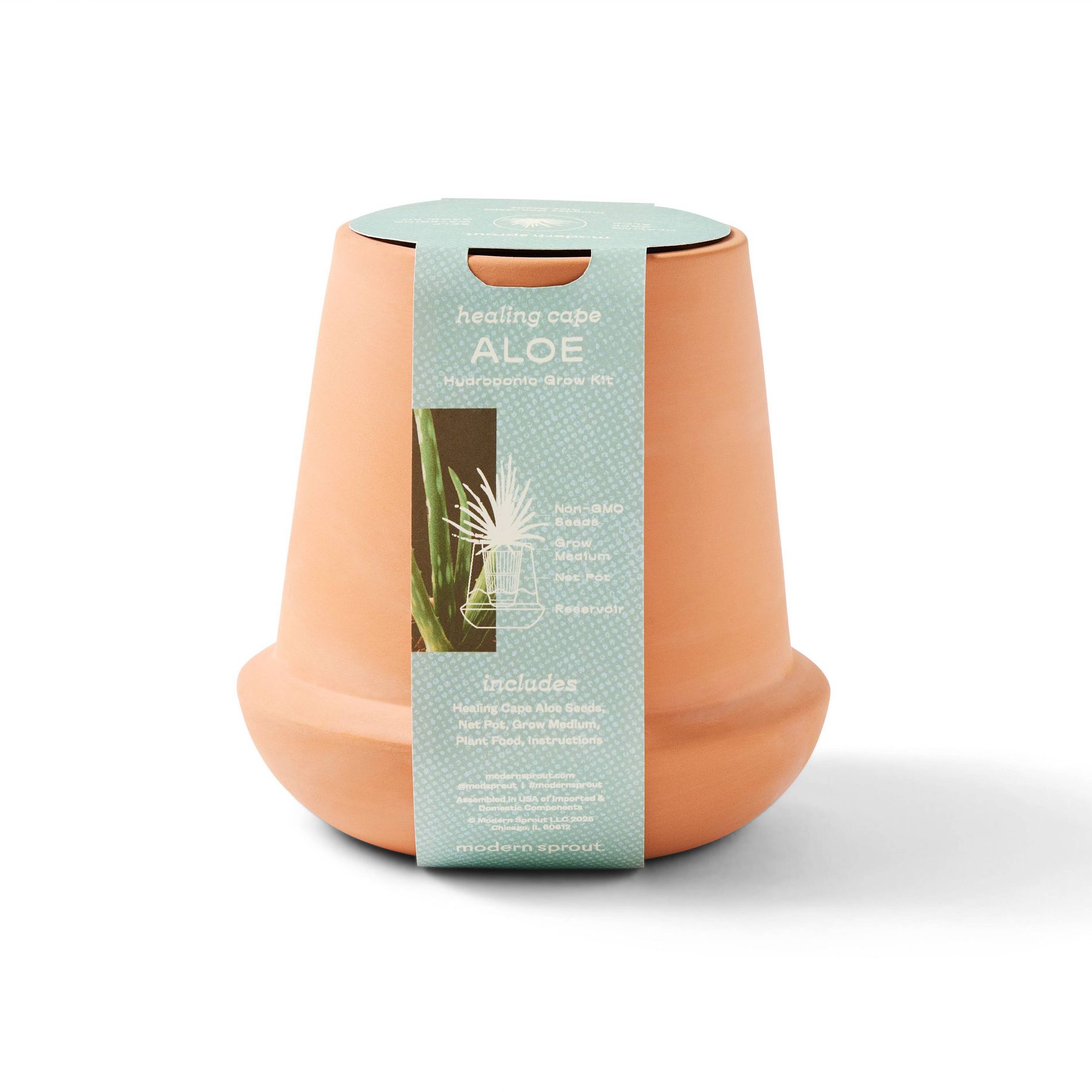 Modern Sprout Aloe Green Succulent Kit