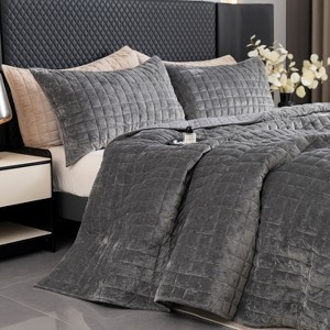 Hachikiko Soft Plush Luxurious Velvet Quilt Set with Pillow Shams, Modern Quilted Bedding for Bedroom & Guest Room Decor - 1 of 4