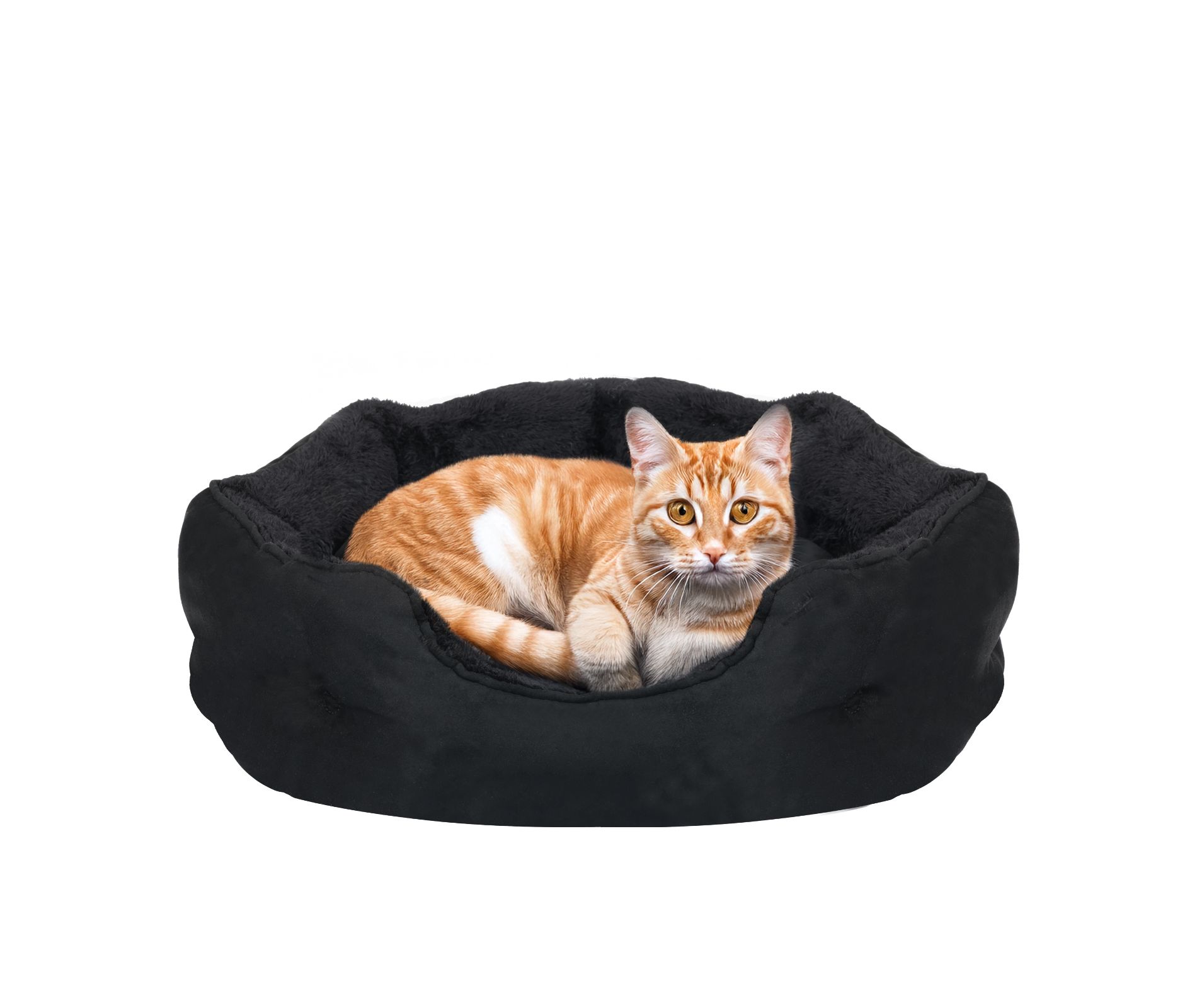 PureWags Small Dog Bed, Round Cat Bed Washable for Indoor Cats, Non-Slip Base and Removable Cushion, Pet Bed for Puppy and Kitten