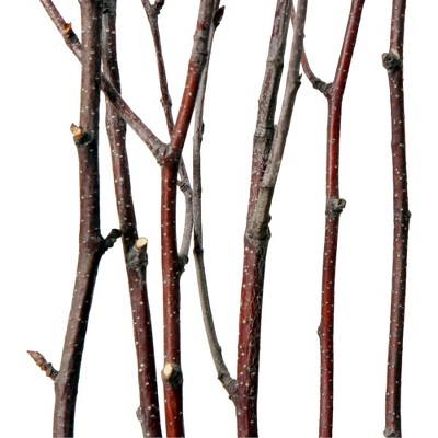 'Artificial Young Birch Trees in Moss Planter (24''), Brown'