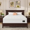 Okak 12/14IN Mattress with Memory Foam and Pocket Springs, Pressure Relief and Fiberglass Free Firm Mattress for Home, Hotel, Aparment - 2 of 4