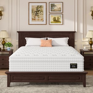 PAGED Hybrid Mattress 14 Inch Mattress with Memory Foam & Pocket Springs for Restful Sleep, Fiberglass Free - 1 of 4