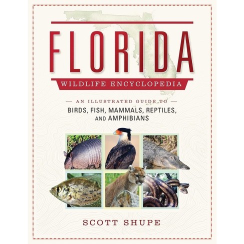 Pocket Guide to Florida Animal Tracks