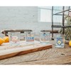 Silver Buffalo Ted Lasso 10-Ounce Mini Rocks Glasses | Set of 4 - 3 of 4