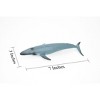 Collectible Wildlife Gifts | Blue Whale, Marine Mammal, Realistic Rubber Reproduction, Hand Painted Figurines    7"     CH156 B249 - 3 of 4